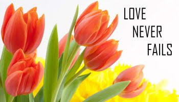 Love never fails is written over tulips on a white background