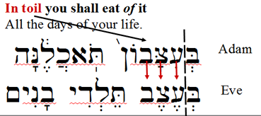 Diagramed portion of Genesis 3:17