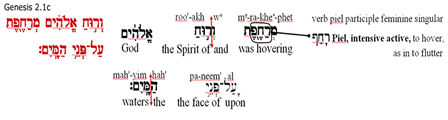 Hebrew text and explanation for And the Spirit of God was hovering over the face of the waters