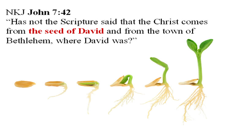 Picture of the development of seed into a plant with the same scripture as the above picture.